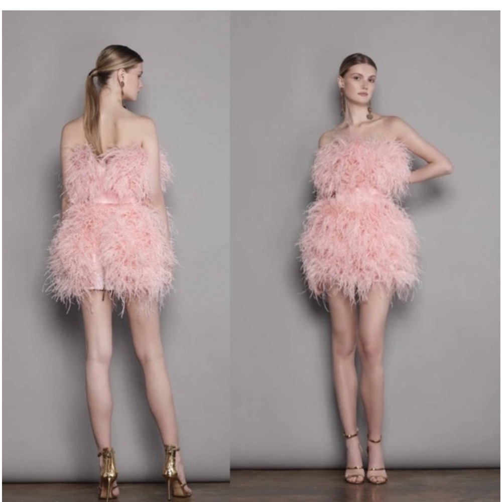 NWT !!Bronx and Vancouver pink feathered dress